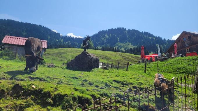 Jausenstation Neuschwand Villa Hittisau Eksteriør billede