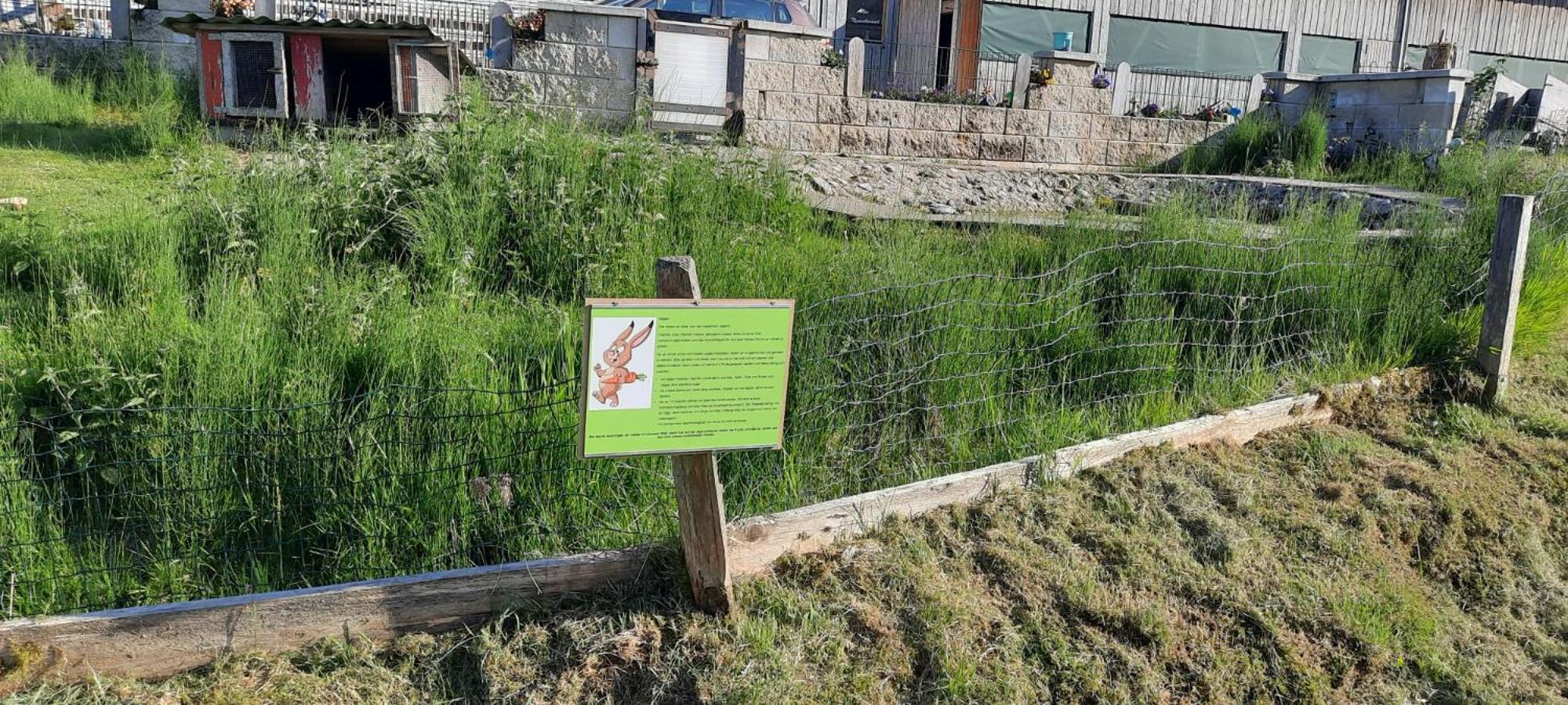 Jausenstation Neuschwand Villa Hittisau Eksteriør billede