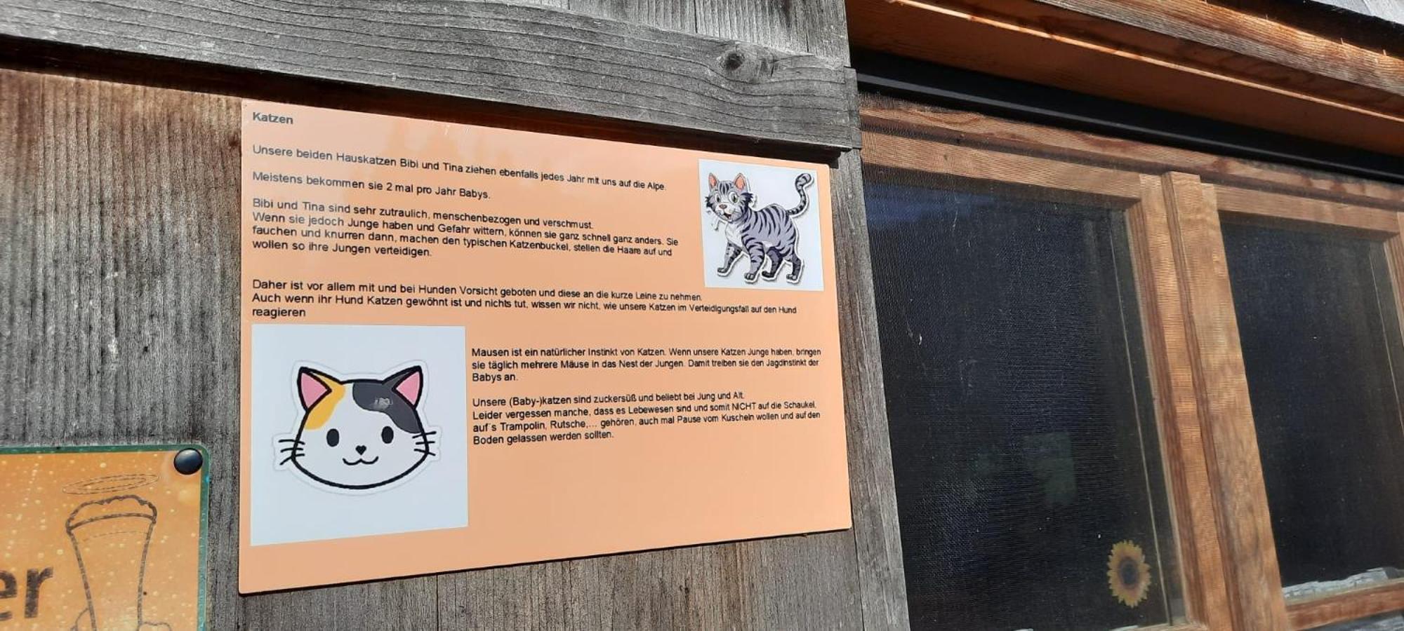Jausenstation Neuschwand Villa Hittisau Eksteriør billede