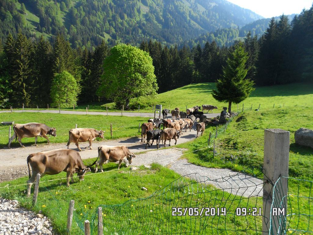 Jausenstation Neuschwand Villa Hittisau Eksteriør billede