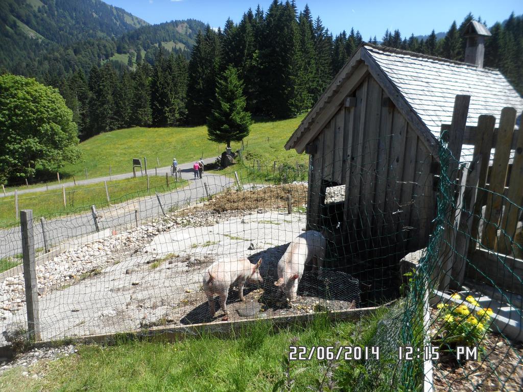 Jausenstation Neuschwand Villa Hittisau Eksteriør billede