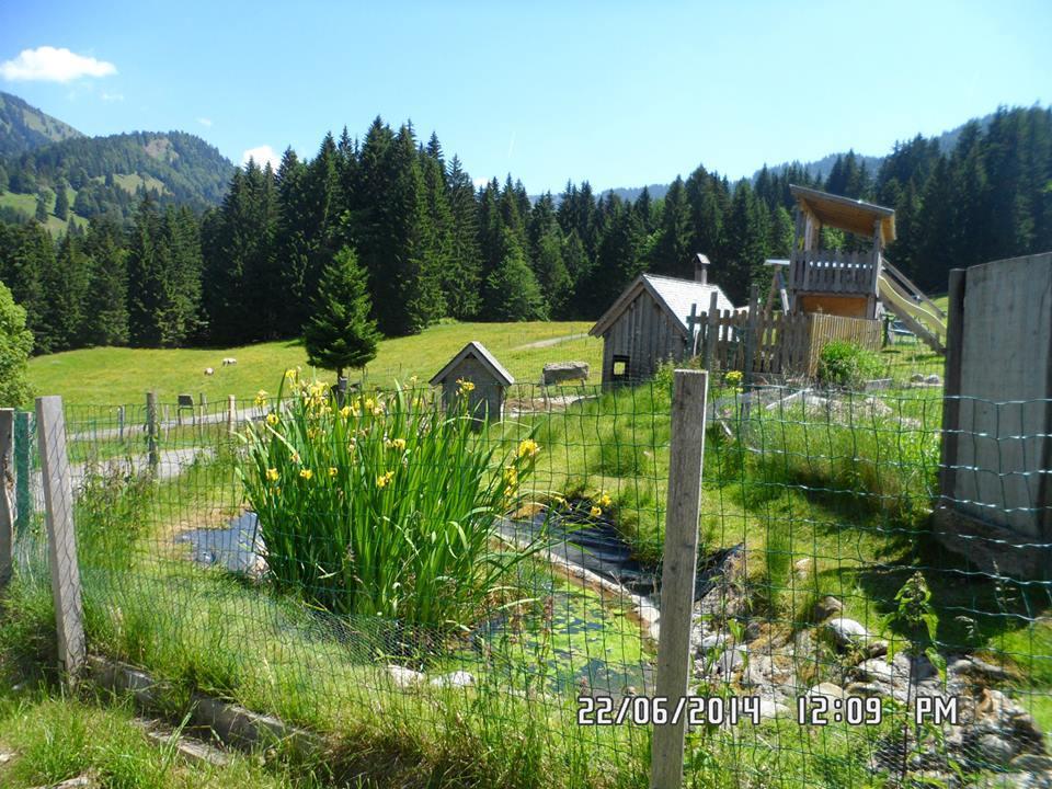 Jausenstation Neuschwand Villa Hittisau Eksteriør billede