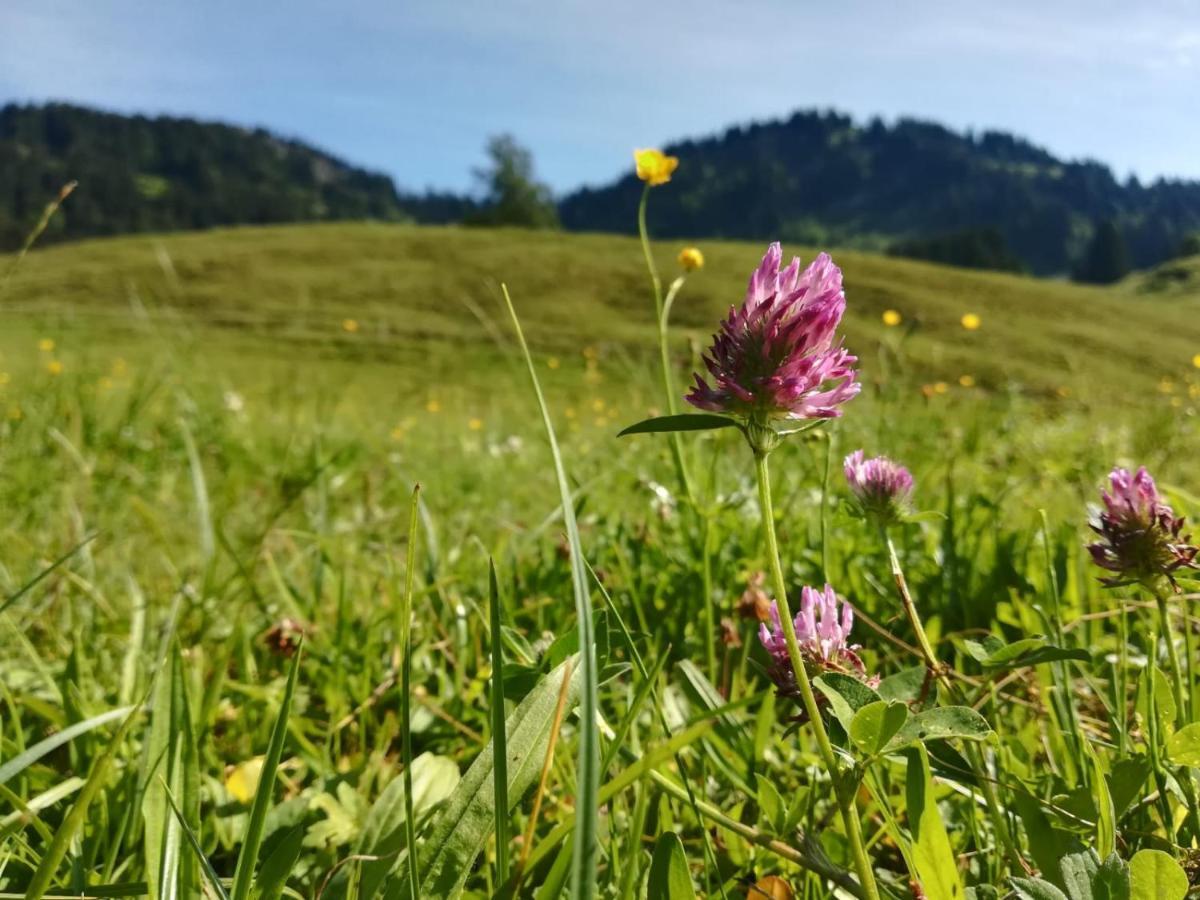 Jausenstation Neuschwand Villa Hittisau Eksteriør billede